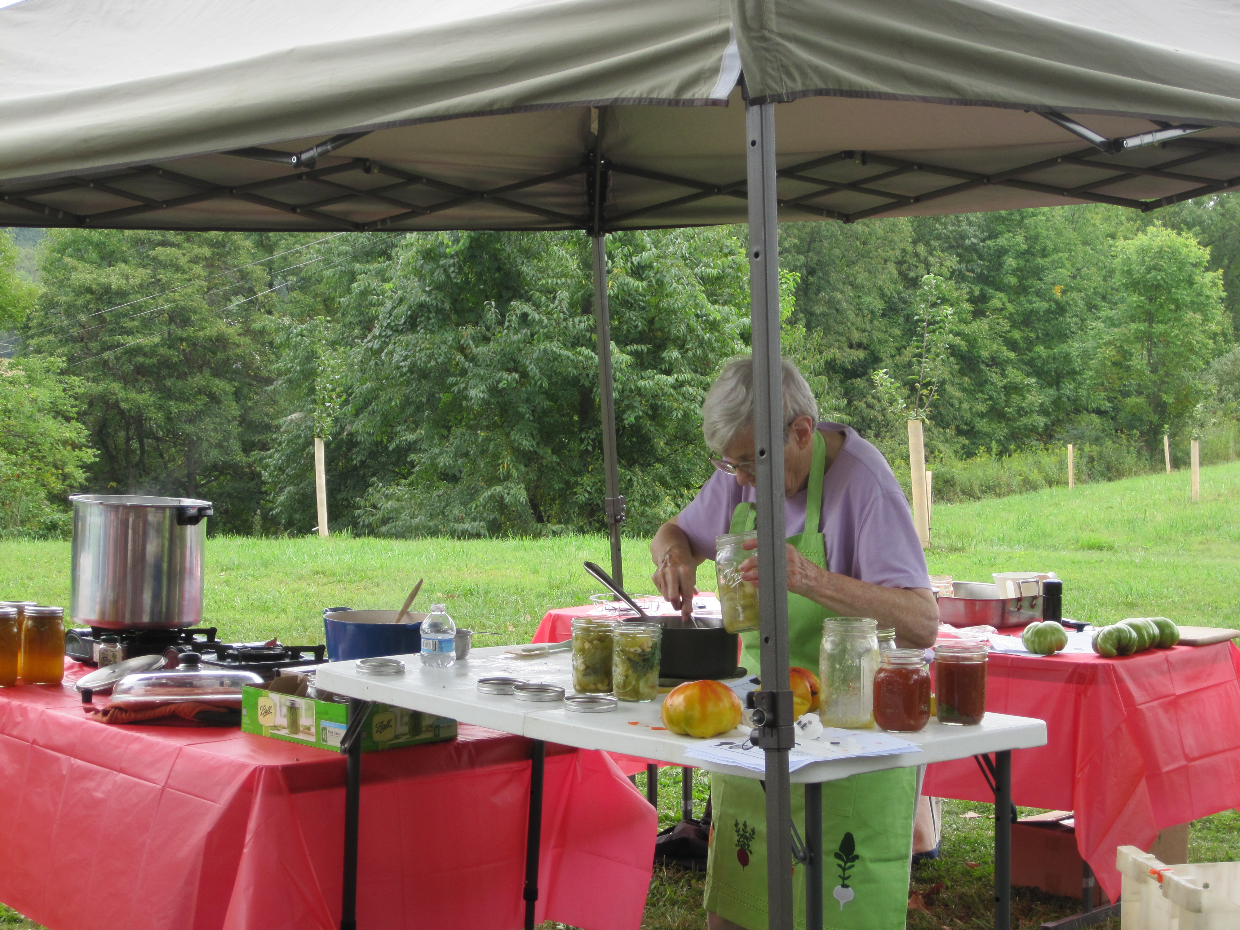 Nancy Hanst Pickling Green Tomatoes