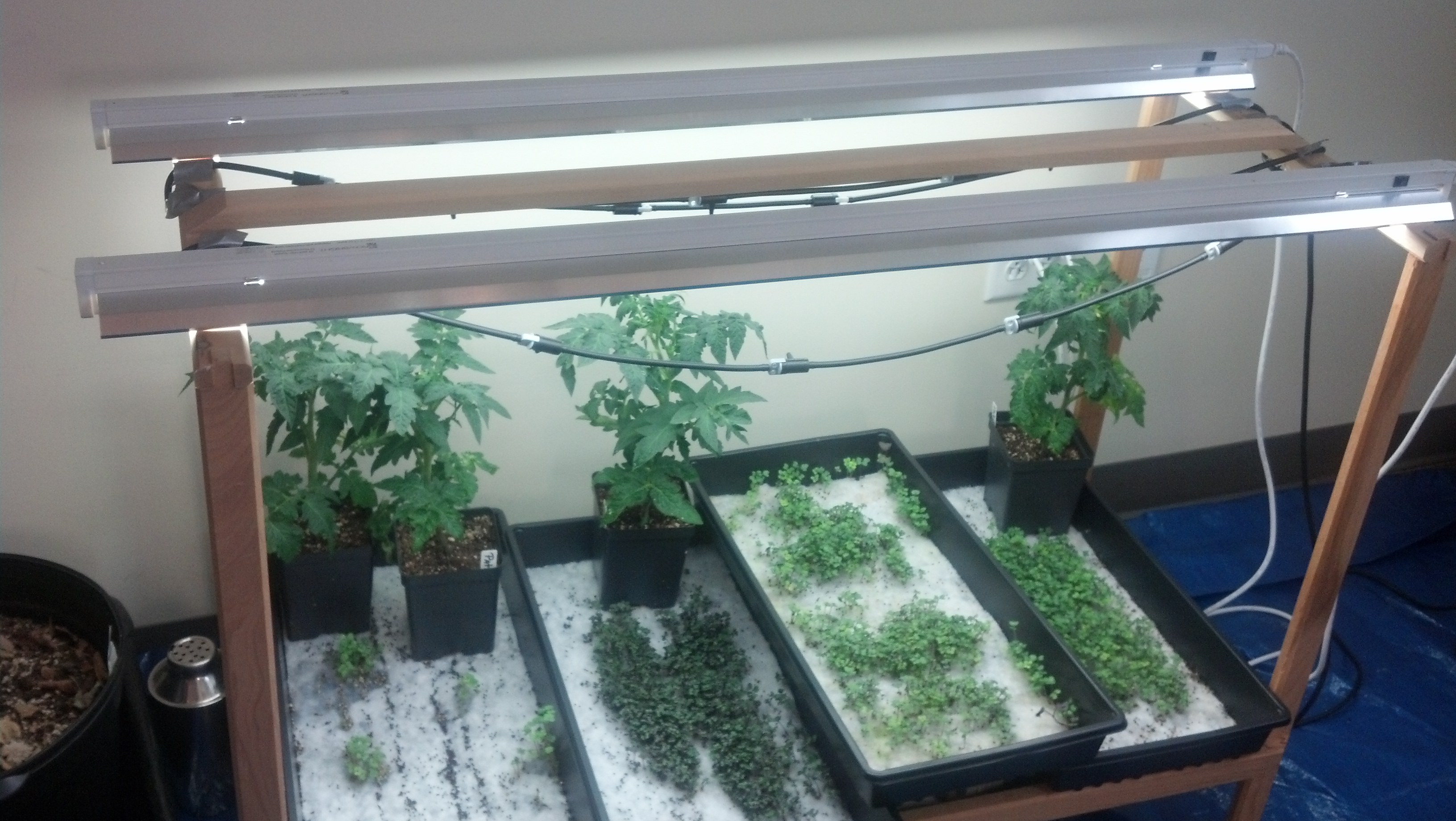 Google's Indoor Garden