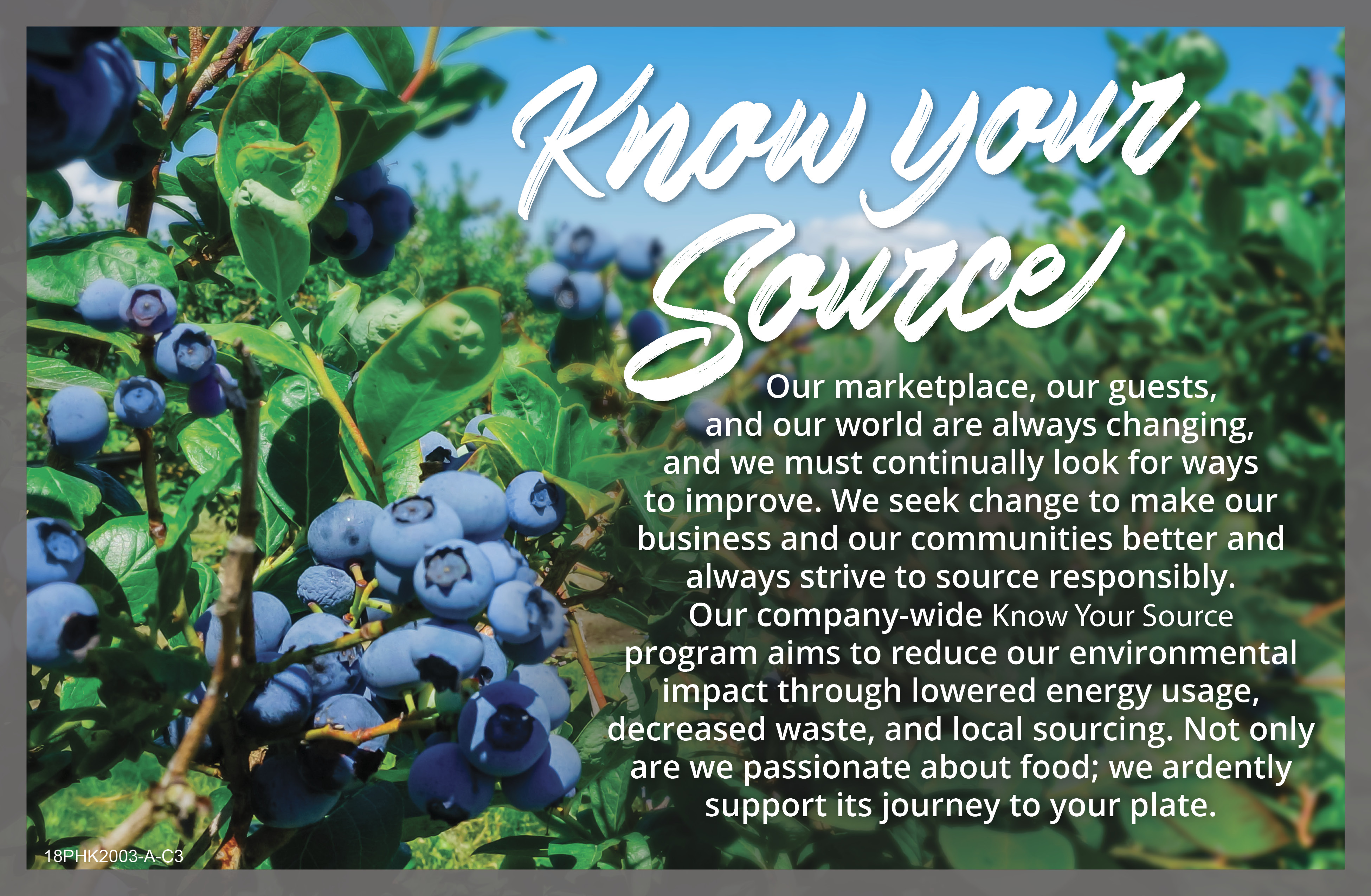 18PHK2003-A-C NAPKIN INSERTS3.jpg