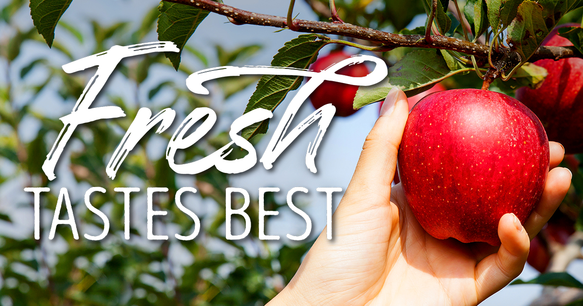 apple picking picture