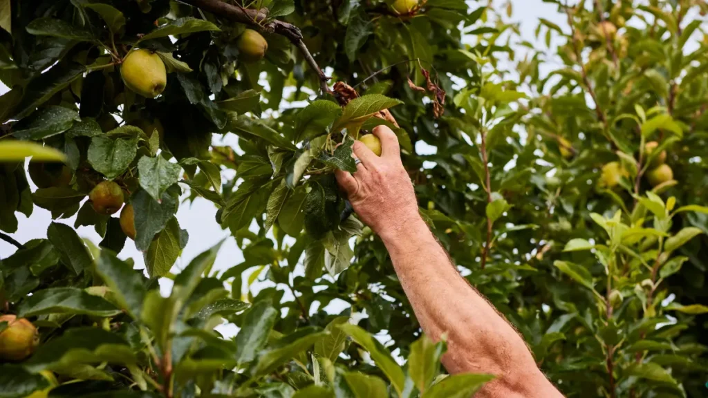 Know Your Source Parkhurst