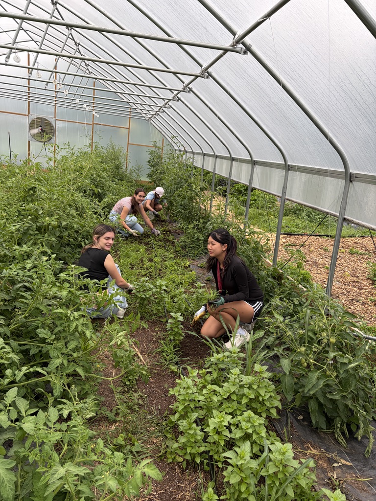Students in a greenhouse
