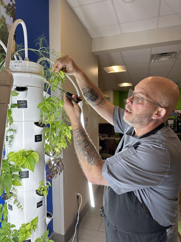 Chef Art harvests from the Grow Tower