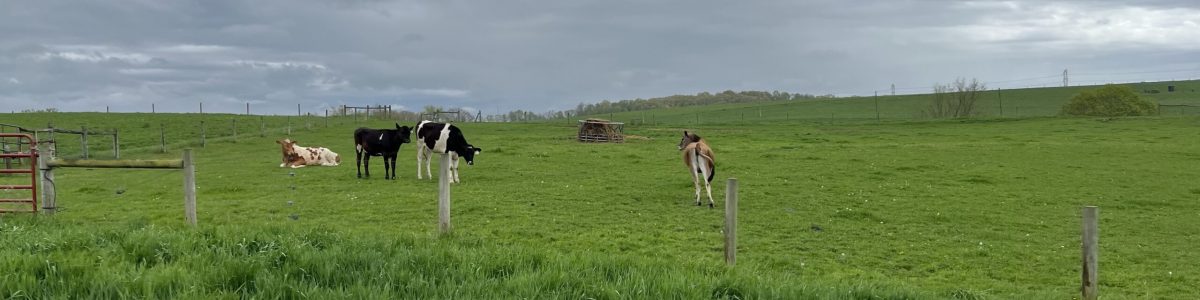 Dairy Farm Parkhurst Dining