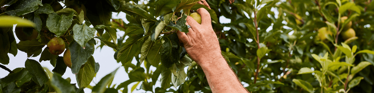 Know Your Source Parkhurst