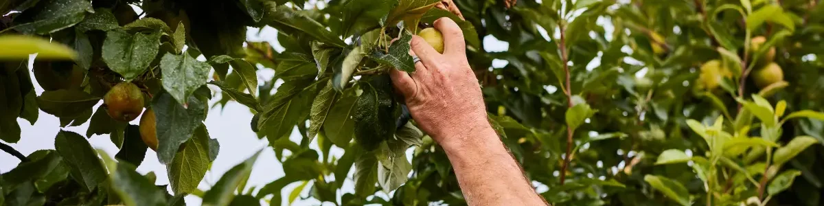 Know Your Source Parkhurst