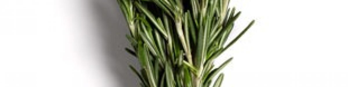 rosemary