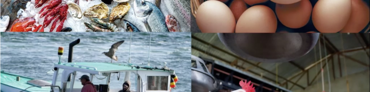 Screen Shot 2021-03-01 at 10.49.20 AM